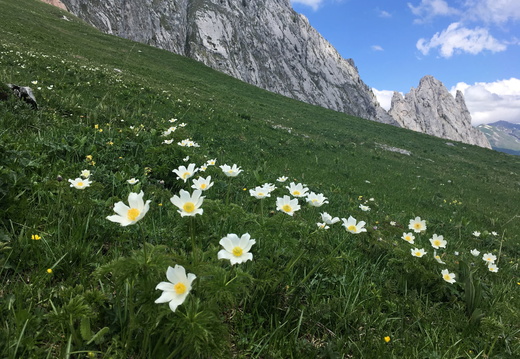 Rund um die Gastlosen
